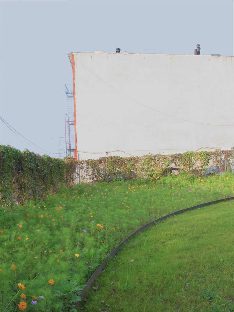 Temporary landscape and the urban meadow The Architectural League of